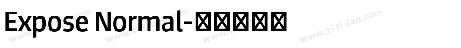 Expose Normal字体转换